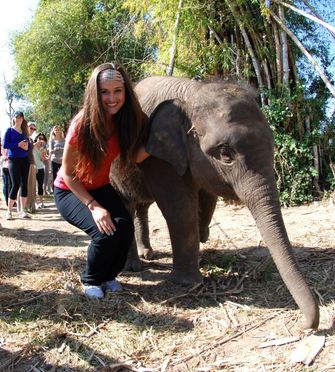 Thailand elephant village Surin