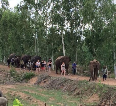 elephant village conservation volunteering