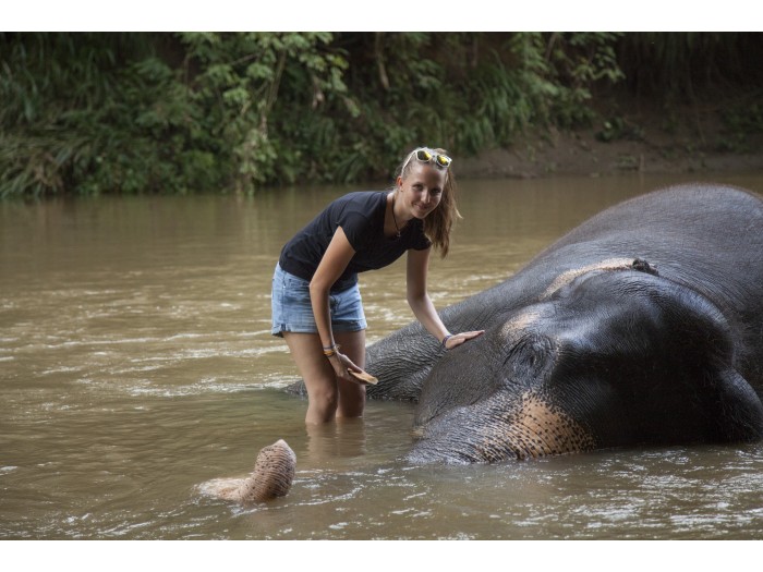 elephant volunteer